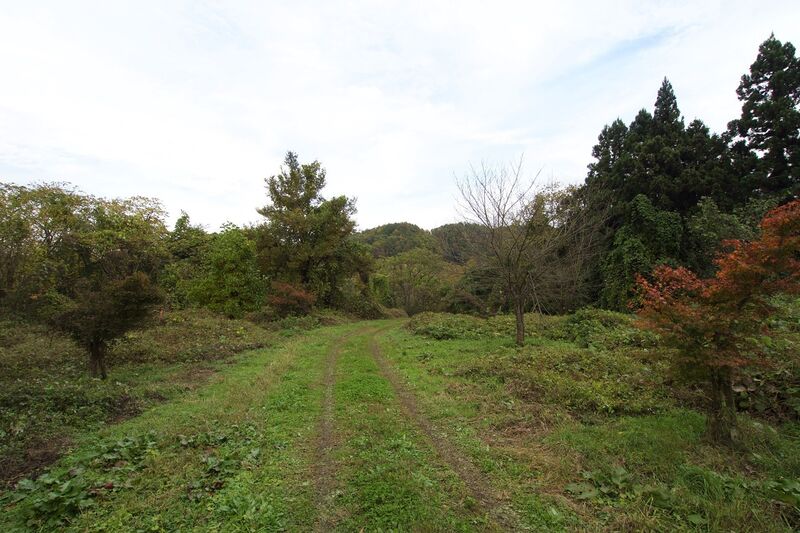 File:Narisawa6.jpg