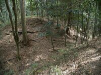 Ogawanishinokoka15.jpg