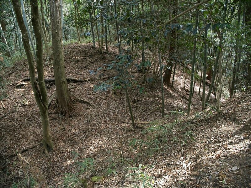 File:Ogawanishinokoka15.jpg