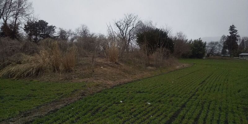 File:Todorokijou (9).jpg