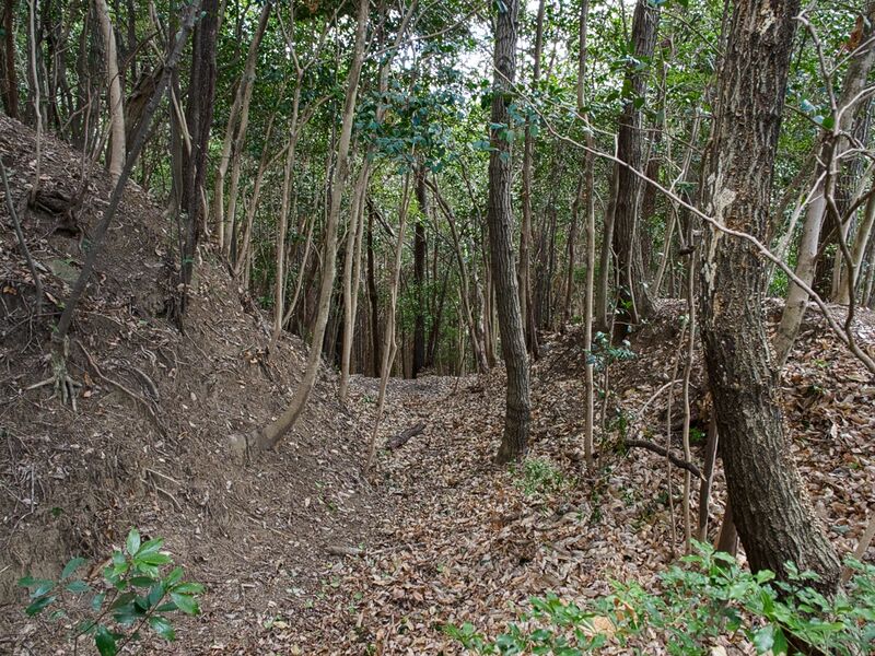File:Yagyufurushiro7.jpg