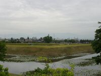 Yasuda7.jpg