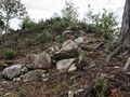 Thumbnail for version as of 08:06, 1 September 2024