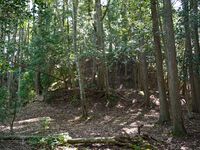 Higashigoma16.jpg