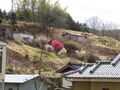 Thumbnail for version as of 11:55, 5 May 2020