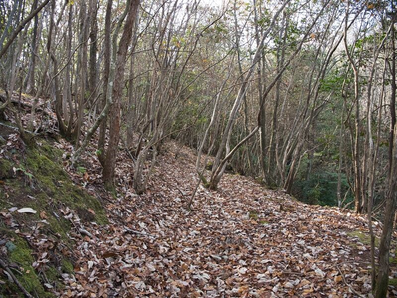 File:Inokurakyoto18.jpg