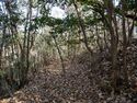 Inokurakyoto30.jpg