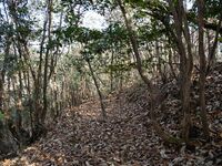 Inokurakyoto30.jpg