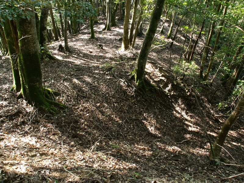 File:Kogaminekyoto5.jpg