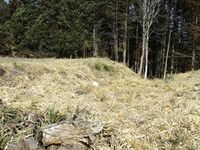 KoideMaruyamajou (3).JPG