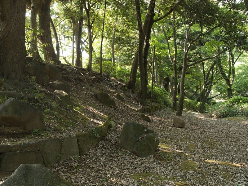 File:Konodai7.jpg