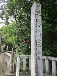 MikawaTorojou (9).JPG