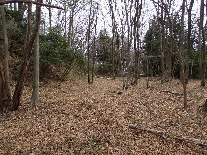 File:Nishikata36.jpg