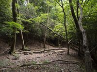 Nyoigatake25.jpg