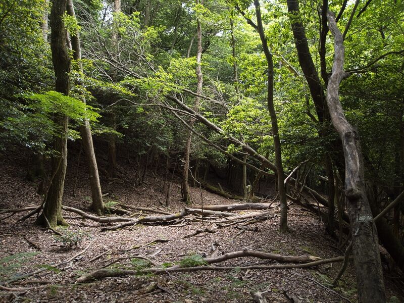 File:Nyoigatake25.jpg