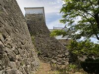 Tsuyama30.jpg
