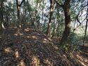 Yamana27.jpg