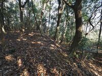 Yamana27.jpg