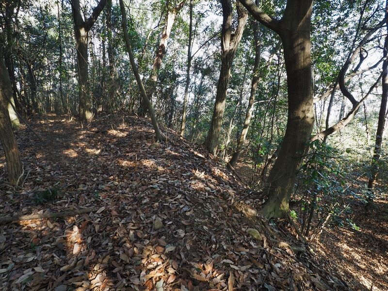 File:Yamana27.jpg