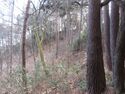 筑摩竹田城09mount.JPG