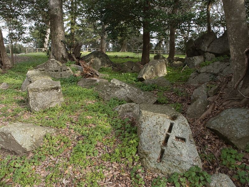 File:Hagicastleishikiri8.jpg
