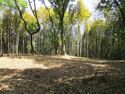 Iwazujou (9).jpg