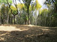 Iwazujou (9).jpg
