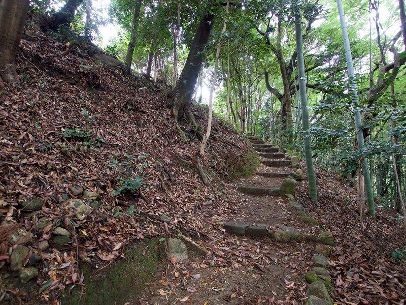 File:Kamei52.jpg