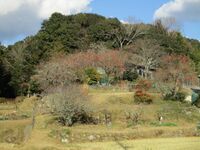 MikawaItadafuruYashiki (1).jpg