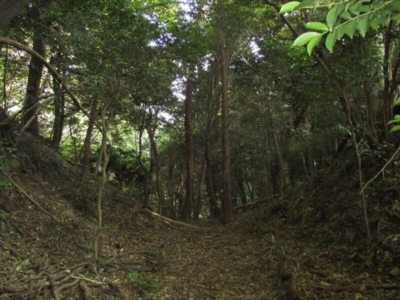 File:MikawaNoguchijou007.jpg