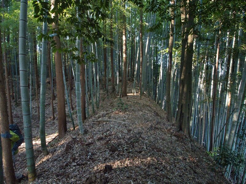 File:Mochizukikoka23.jpg