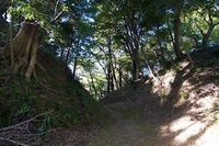 Nirayama3.jpg