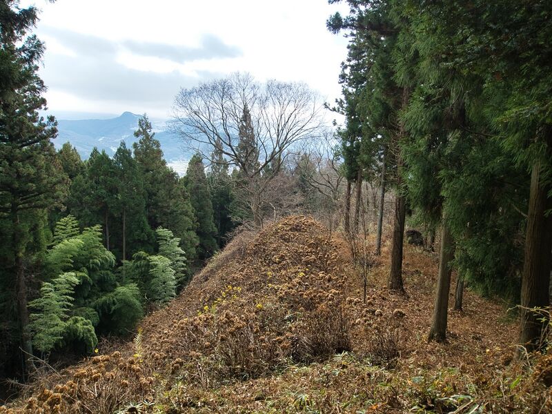 File:Ogoe16.jpg