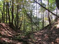 Ohiwajou (4).JPG