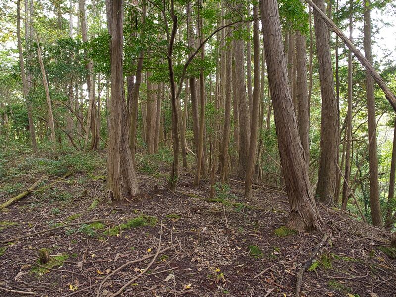 File:Okudanitanba8.jpg