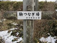 SakuMochidzukijou (7).JPG