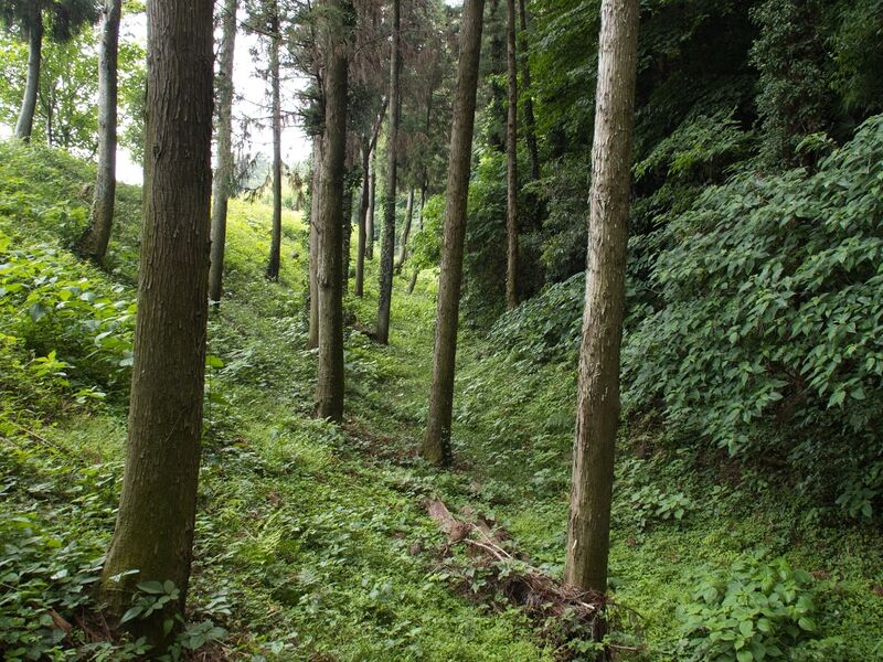File:Shiroi18.jpg