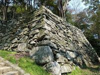 Tokushima8.jpg