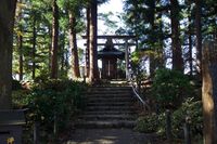 Yonezawa17.jpg