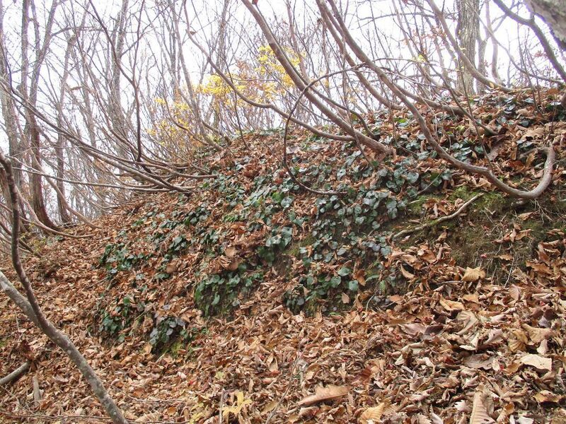 File:AdzumiIidajou (29).jpg