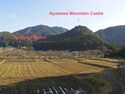 Ayukawa20.jpg