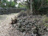 Chinaha Castle RaymondW 807.jpg