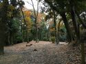 Eboshigata28.jpg