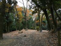 Eboshigata28.jpg