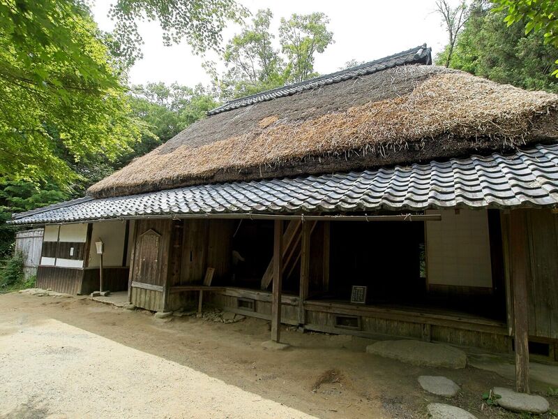 File:Fujibayashikoka2.jpg