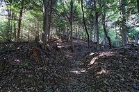 Hakusan4.jpg
