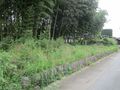Thumbnail for version as of 15:22, 11 June 2023