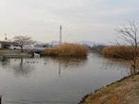 Kimurajorakuji19.jpg