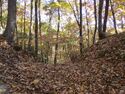 MurakamiIidzunajou (53).JPG