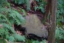 Usami nakoyama quarry42.jpg